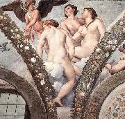 RAFFAELLO Sanzio Cupid and the Three Graces oil painting artist